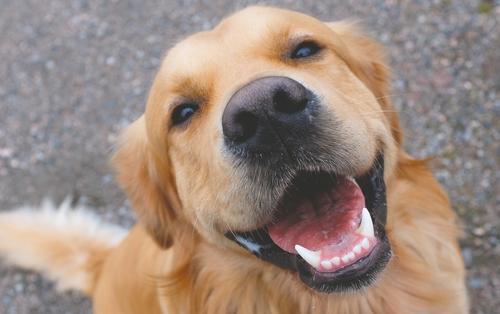 1765827482713_cncy22899 gra 0001 m