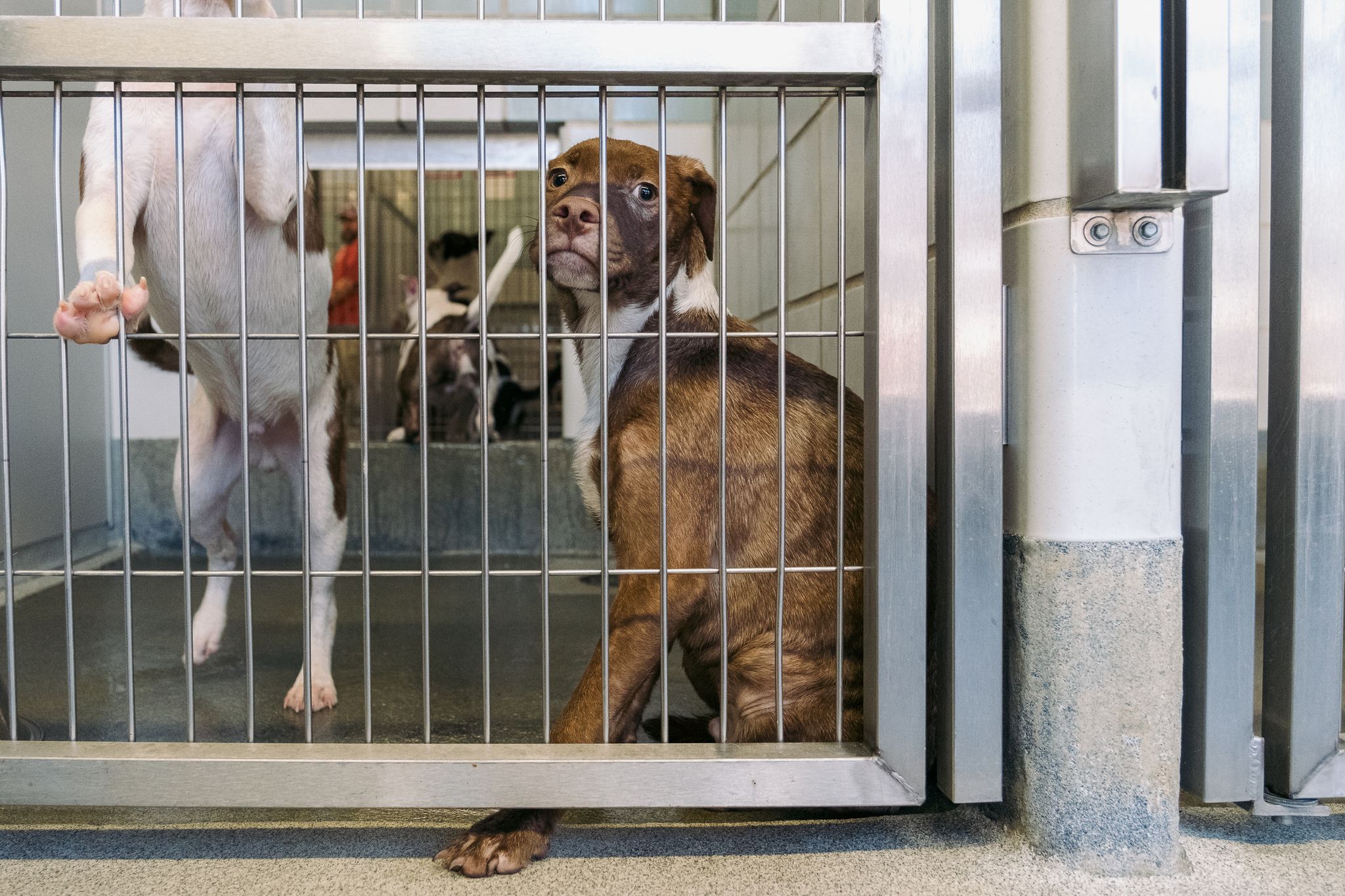 1765905974321_rawImage