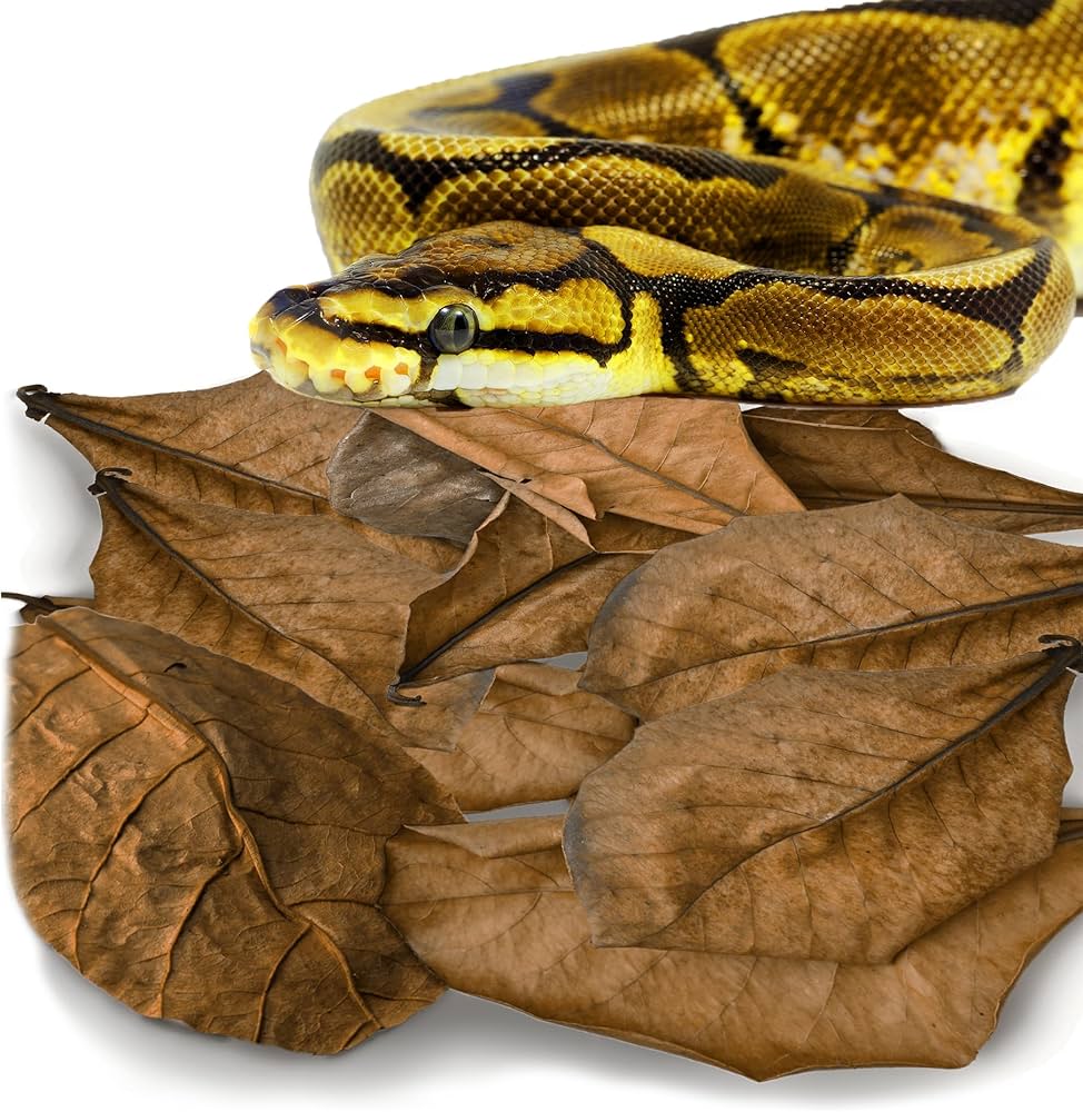 1767668745420_Cost Economic to Maintain 5280383