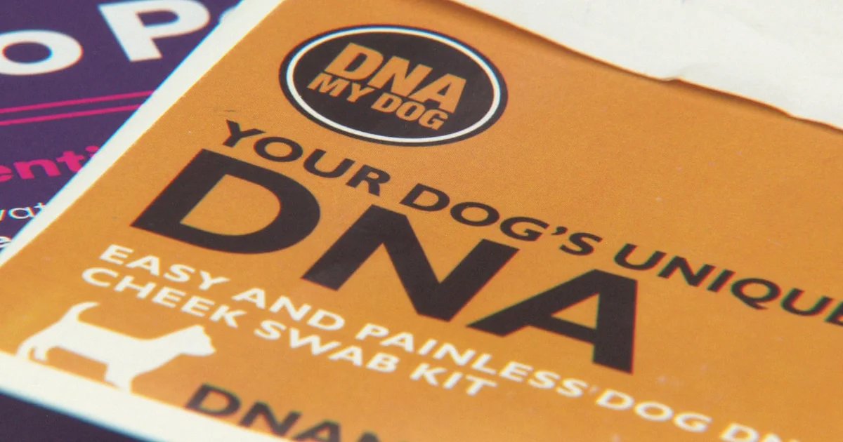 Dog DNA Test Accuracy Under Fire: Humans Identified as Canines in Shocking Investigation