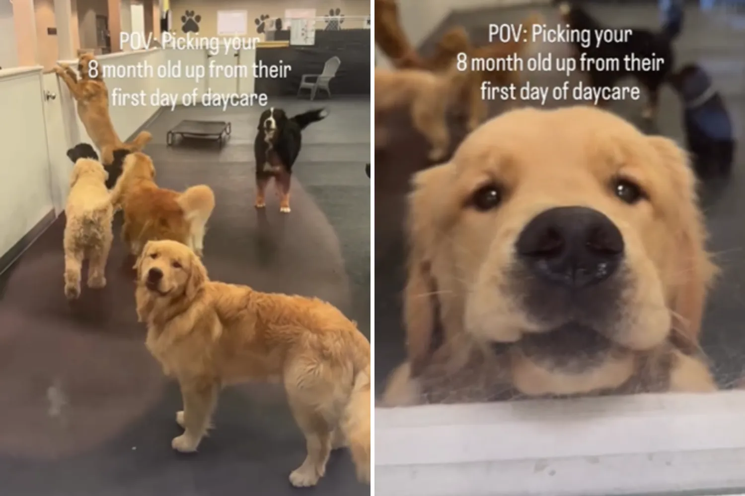 1768317735844_double image 17