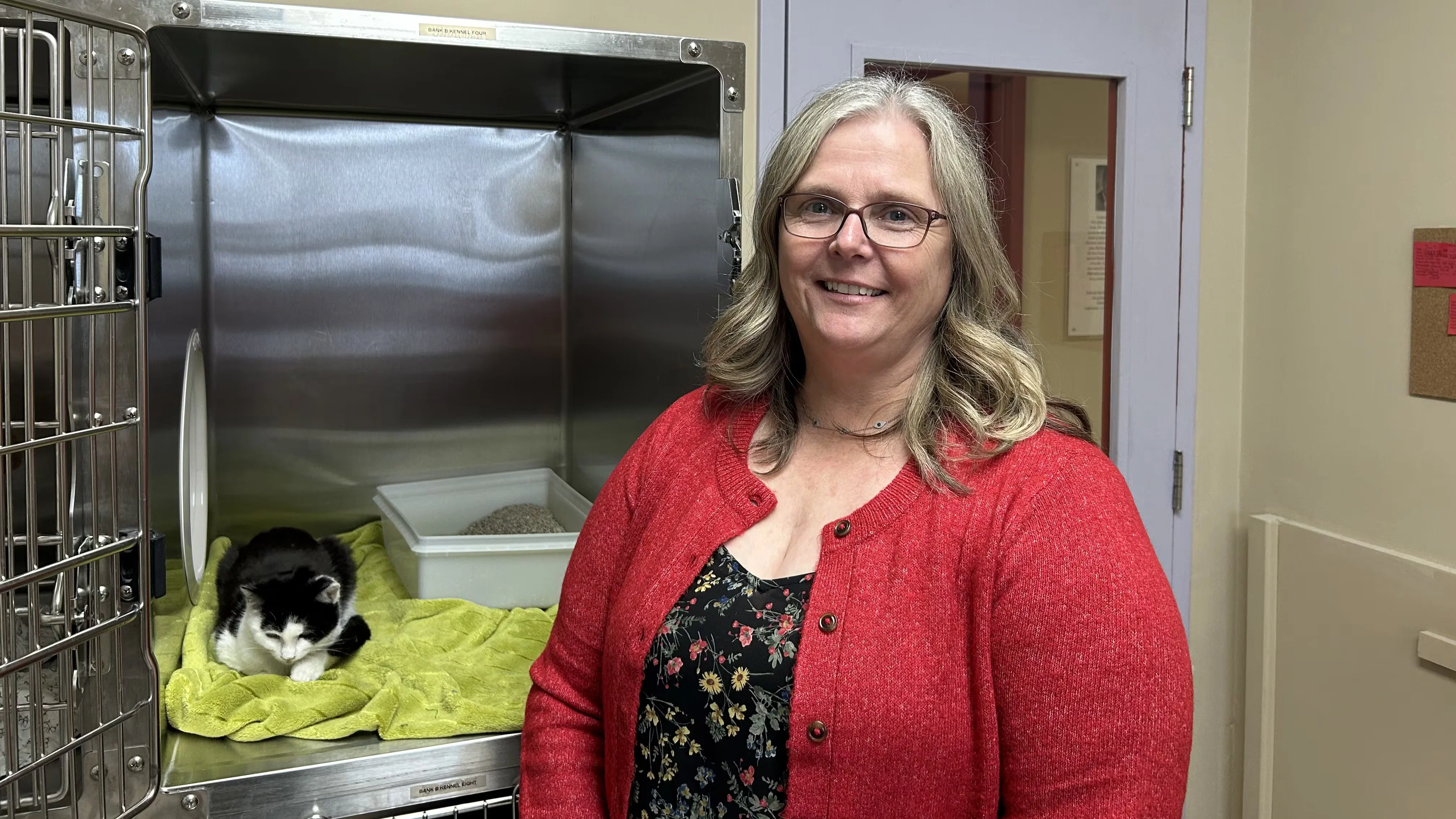 Pet Adoption Demand Skyrockets: Shelters Empty While Heat Wave Safety Concerns Rise