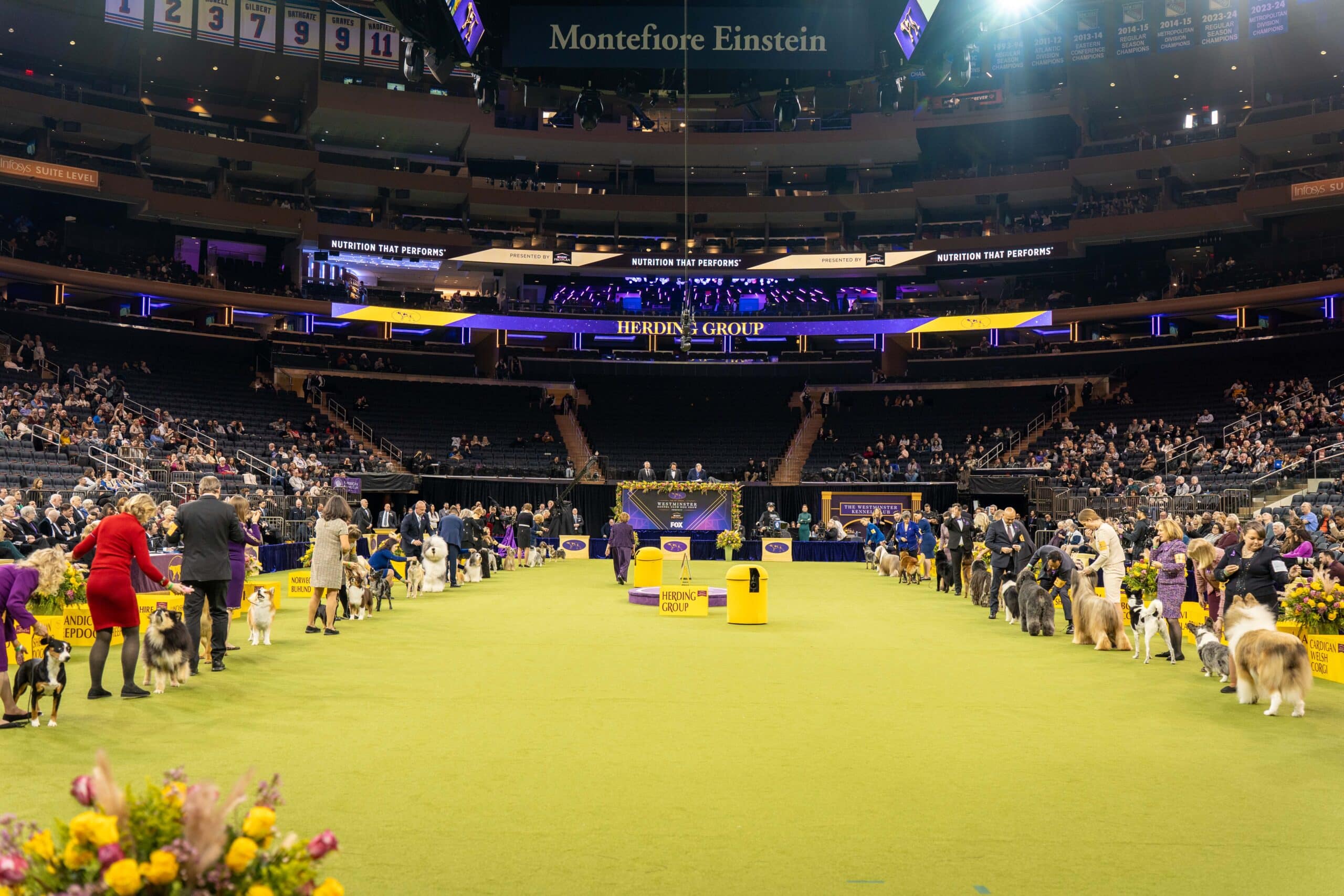 Westminster Dog Show 2026: Schedule, How to Watch, and 150th Anniversary Celebration