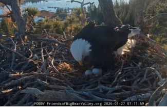 1769959822159_2026 01 28 2891