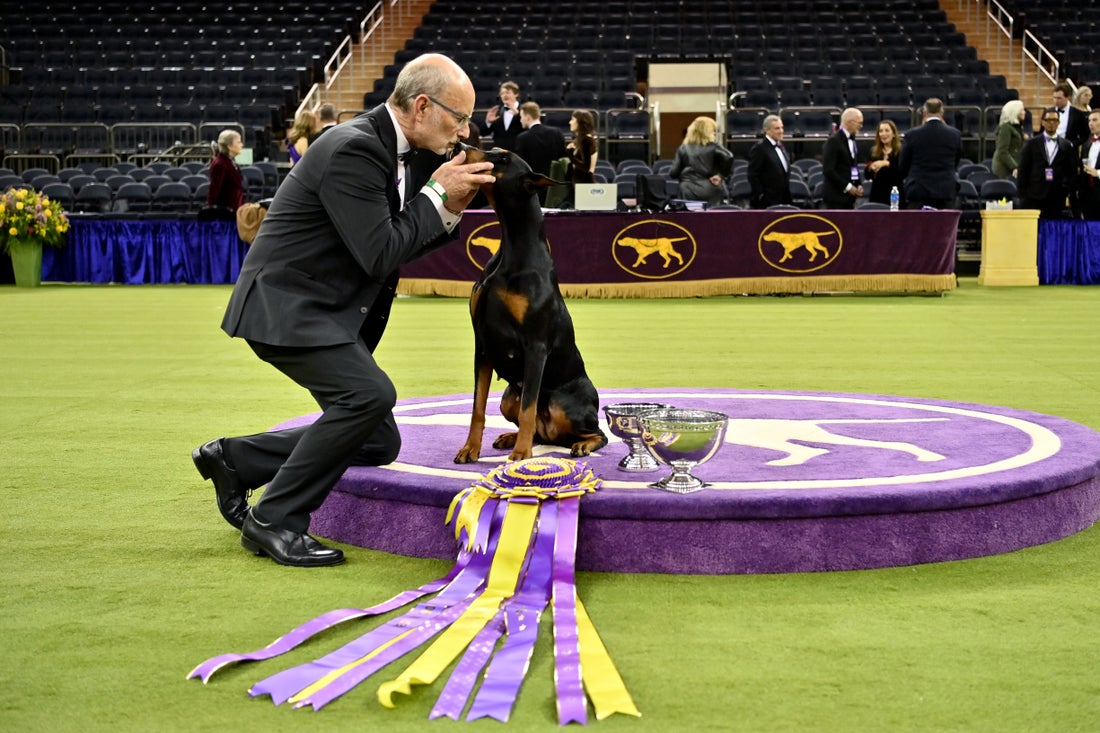 1770305544820_Penny WKC