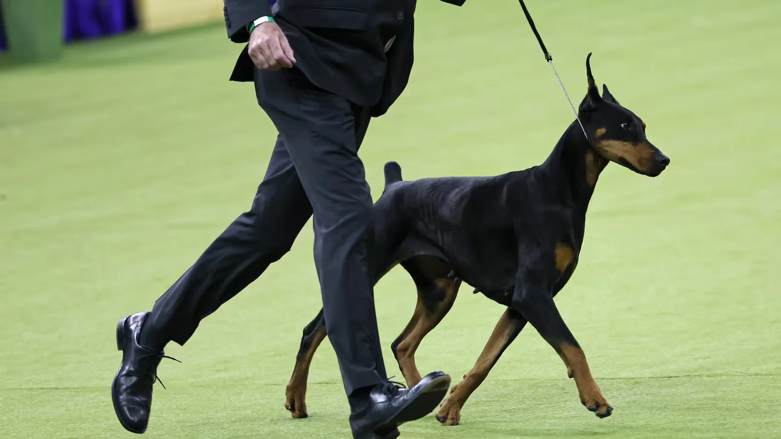 1770477866223_I2GXCRDOVGKDYUIXYPUMEZH5CQ_size normalized