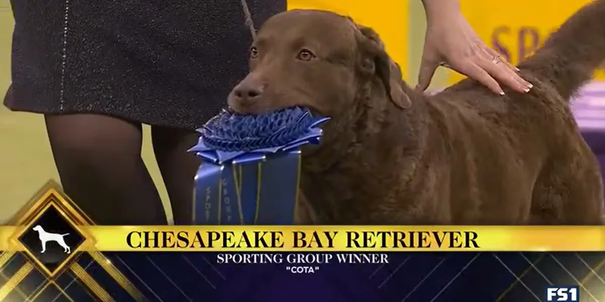 1770477866797_LIBJV4NOPJCU7HGQKXJST7B43I