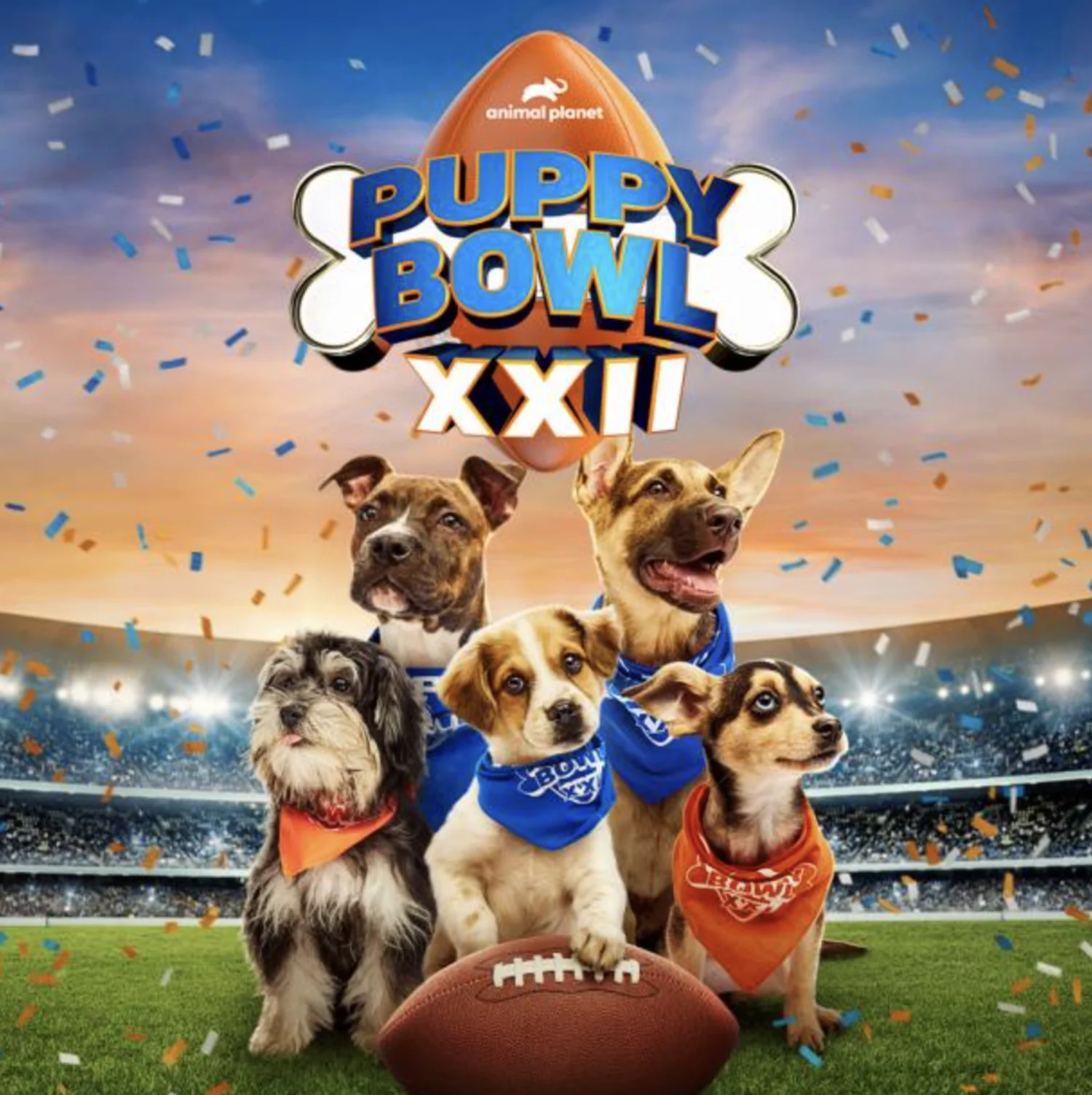 Puppy Bowl 2026: Record-Breaking Adoption Event with 150 Dogs