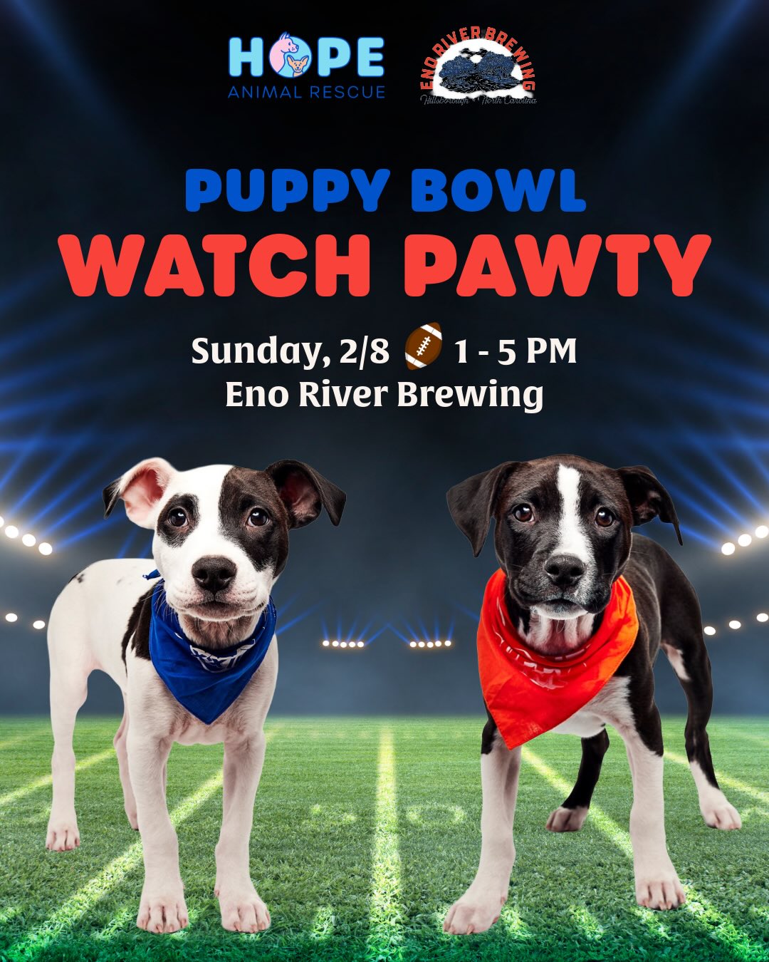 1770564426339_Hope_Puppy_Bowl_Ad