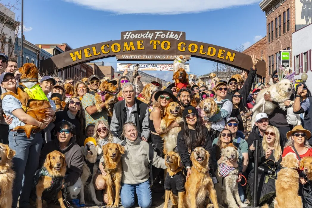 Goldens in Golden 2026: Record-Breaking Golden Retriever Gathering Draws 5,500 Dogs