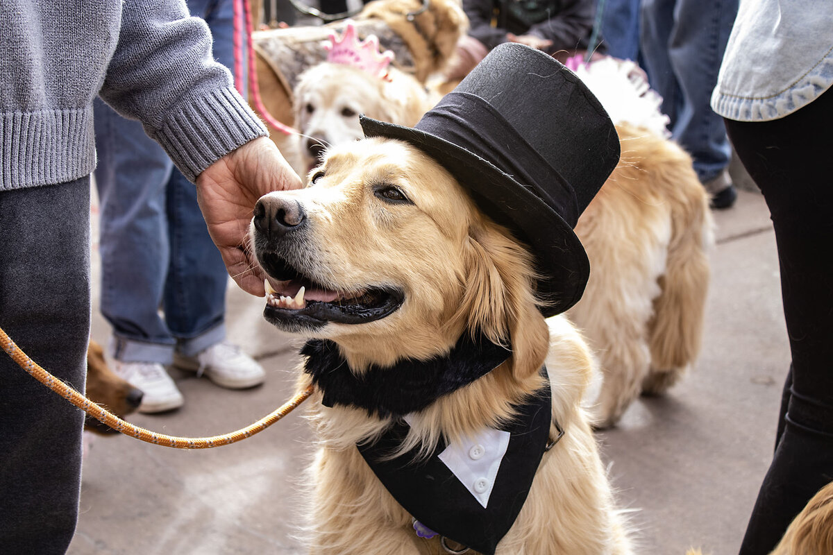 1770823433514_0209_NGOLDEN_hat