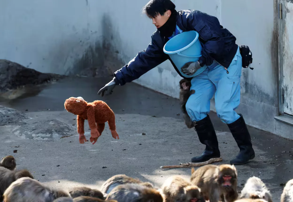 1772292684073_PunchFeb263