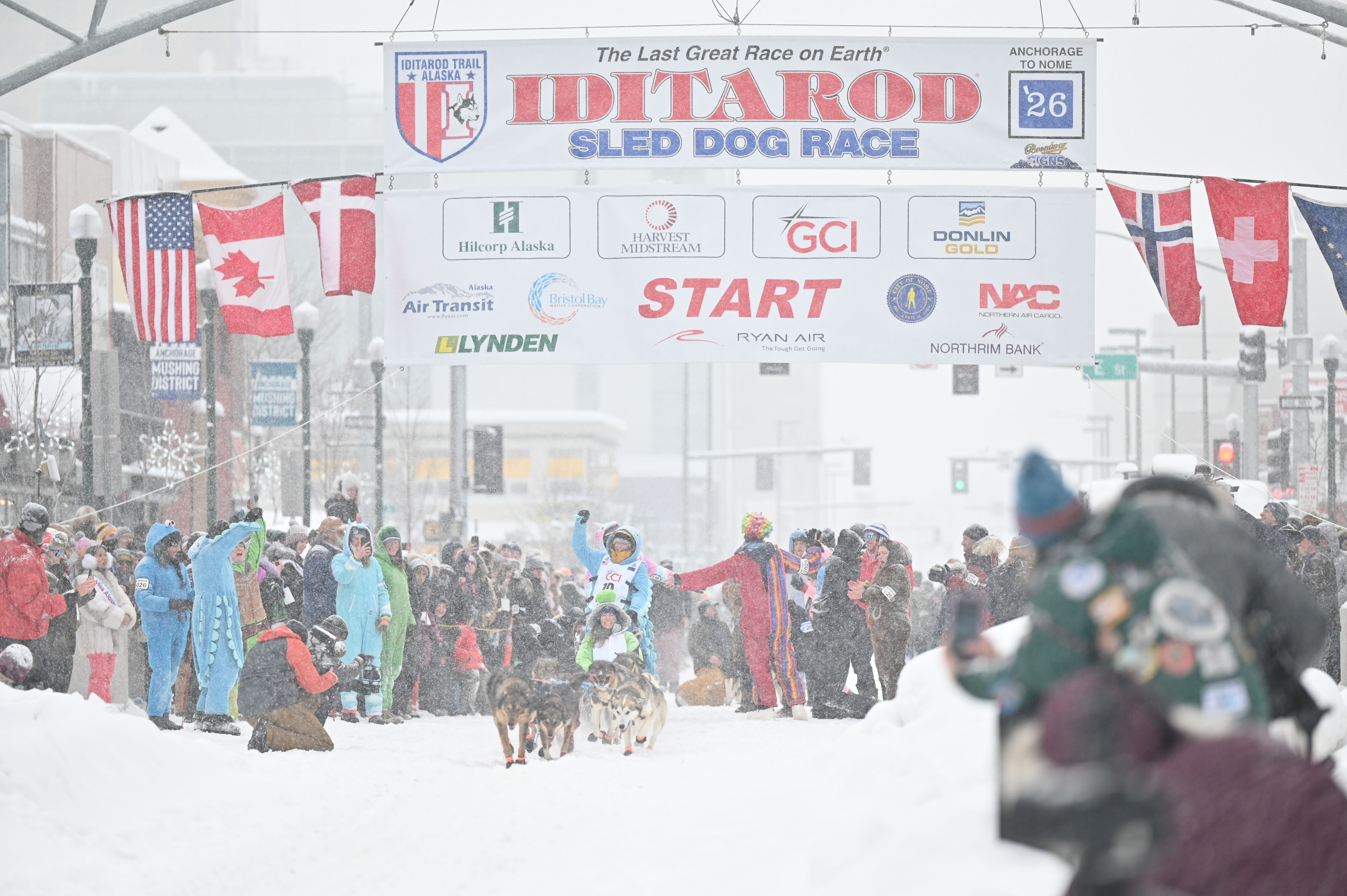 Iditarod 2026: Defending Champion Leads Race Amid Animal Welfare Debate