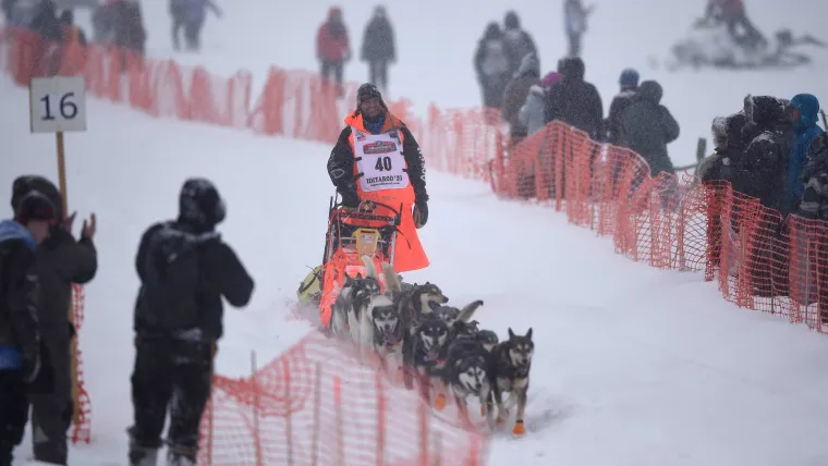 1773152891931_Iditarod 20031424