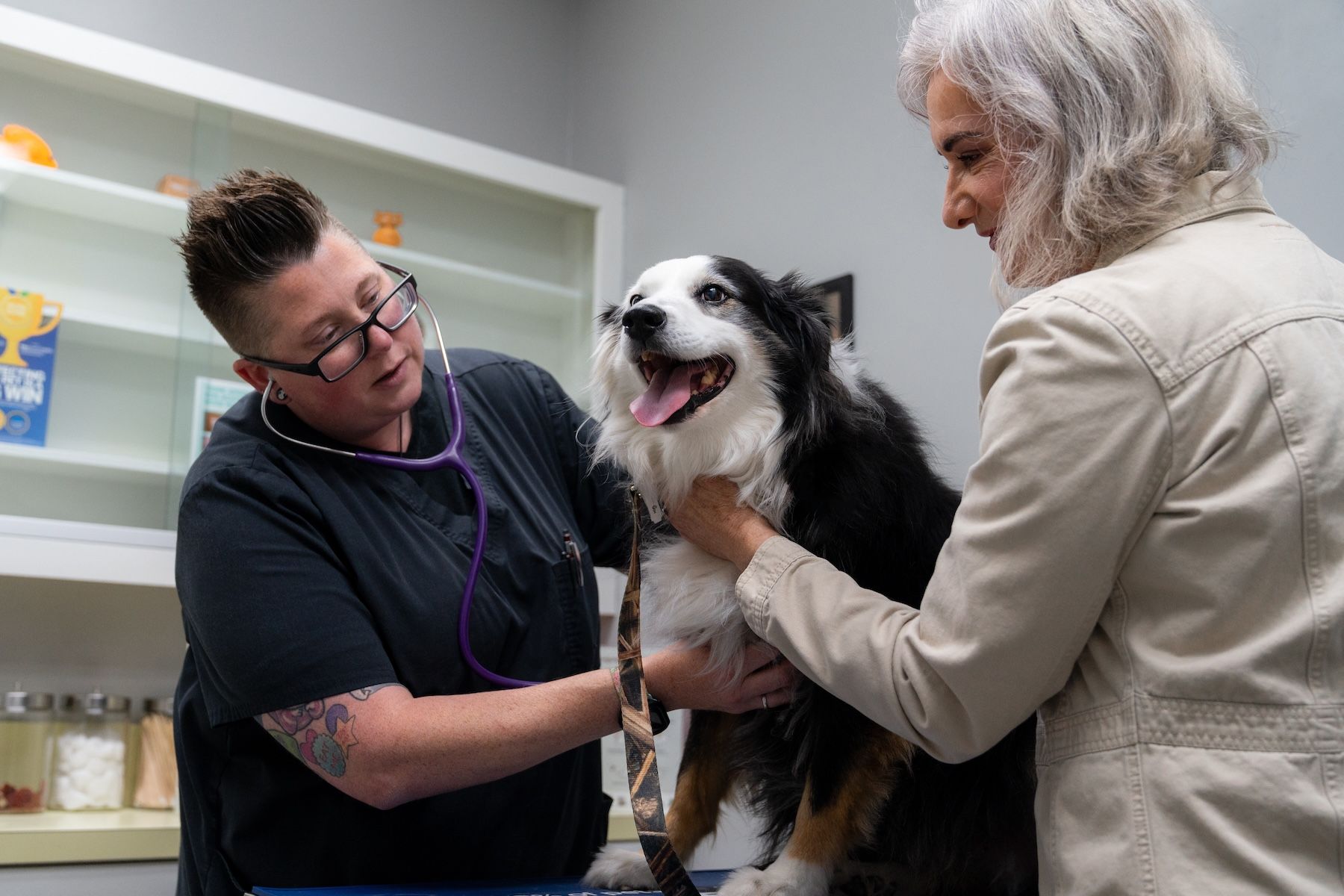 1773499000986_18e1a00dff6b2cbfcb708a44ed9f005a69295d22 1800x1200