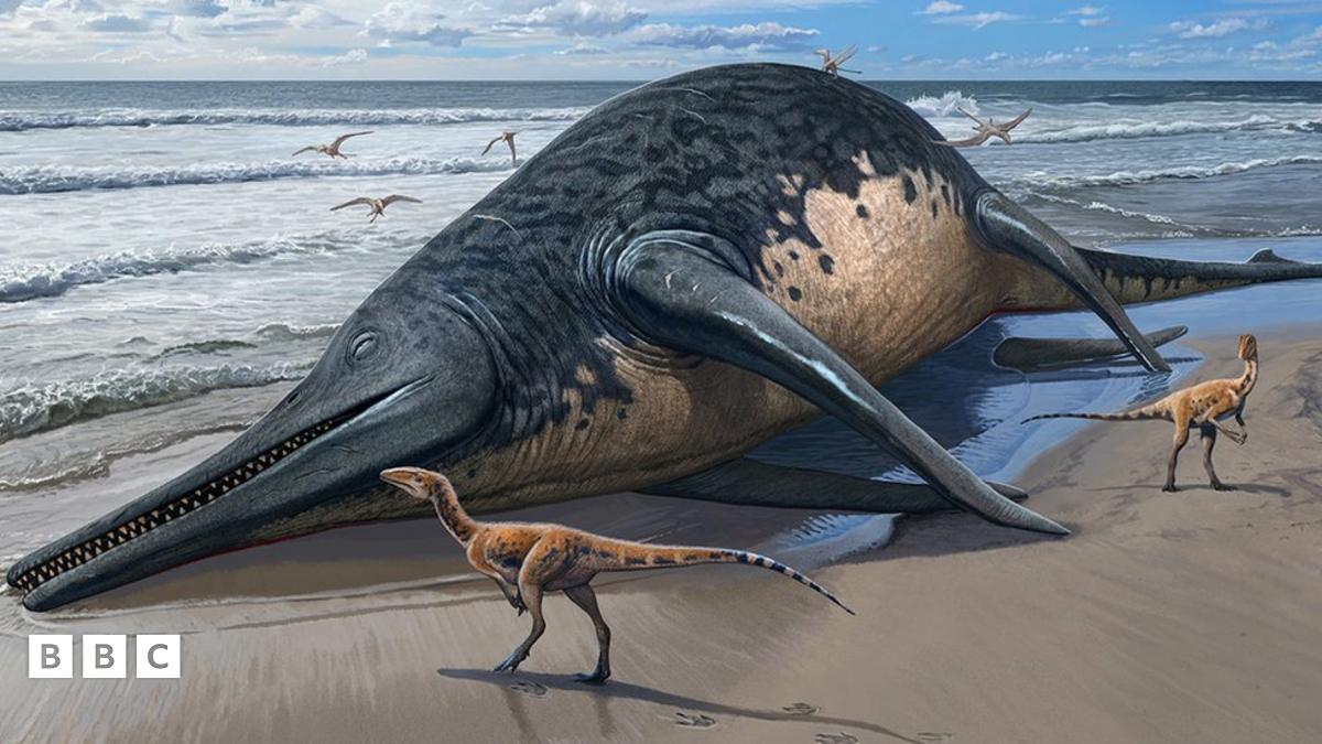Ichthyotitan Severnensis: 11-Year-Old's Fossil Find Reveals Largest Marine Reptile