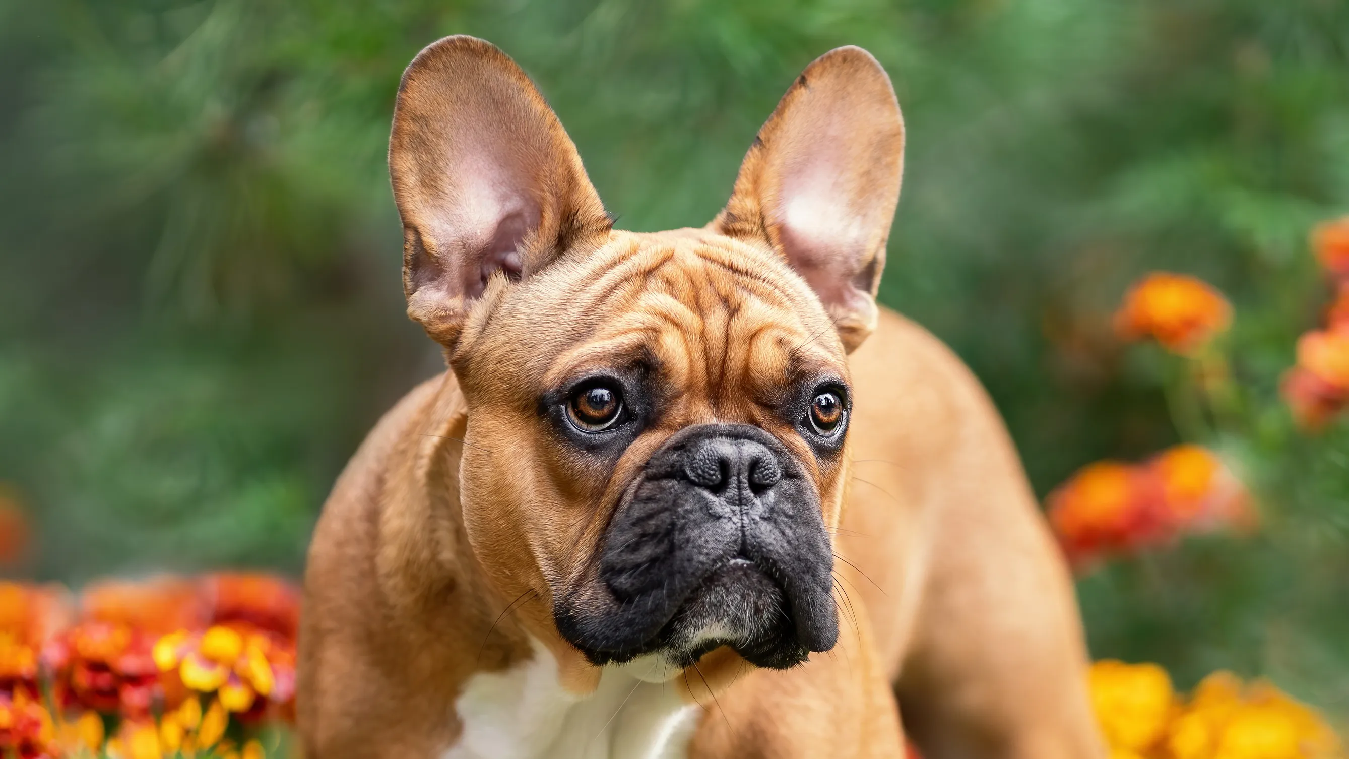 1774016777361_82550190007 001 getty images 1459233587