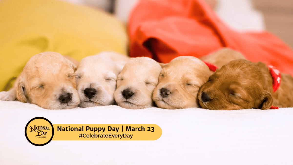 1774276087035_national puppy day  march 23