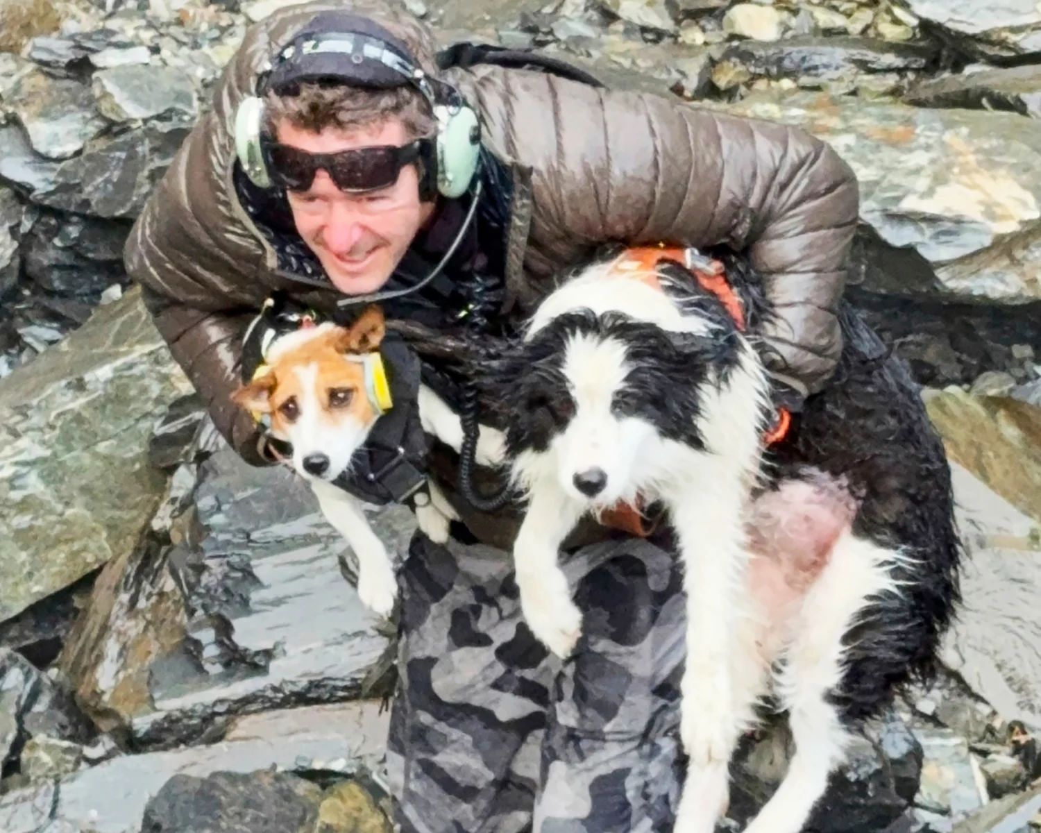 1775226590850_260401 molly border collie 3x2 rs b3ea1f