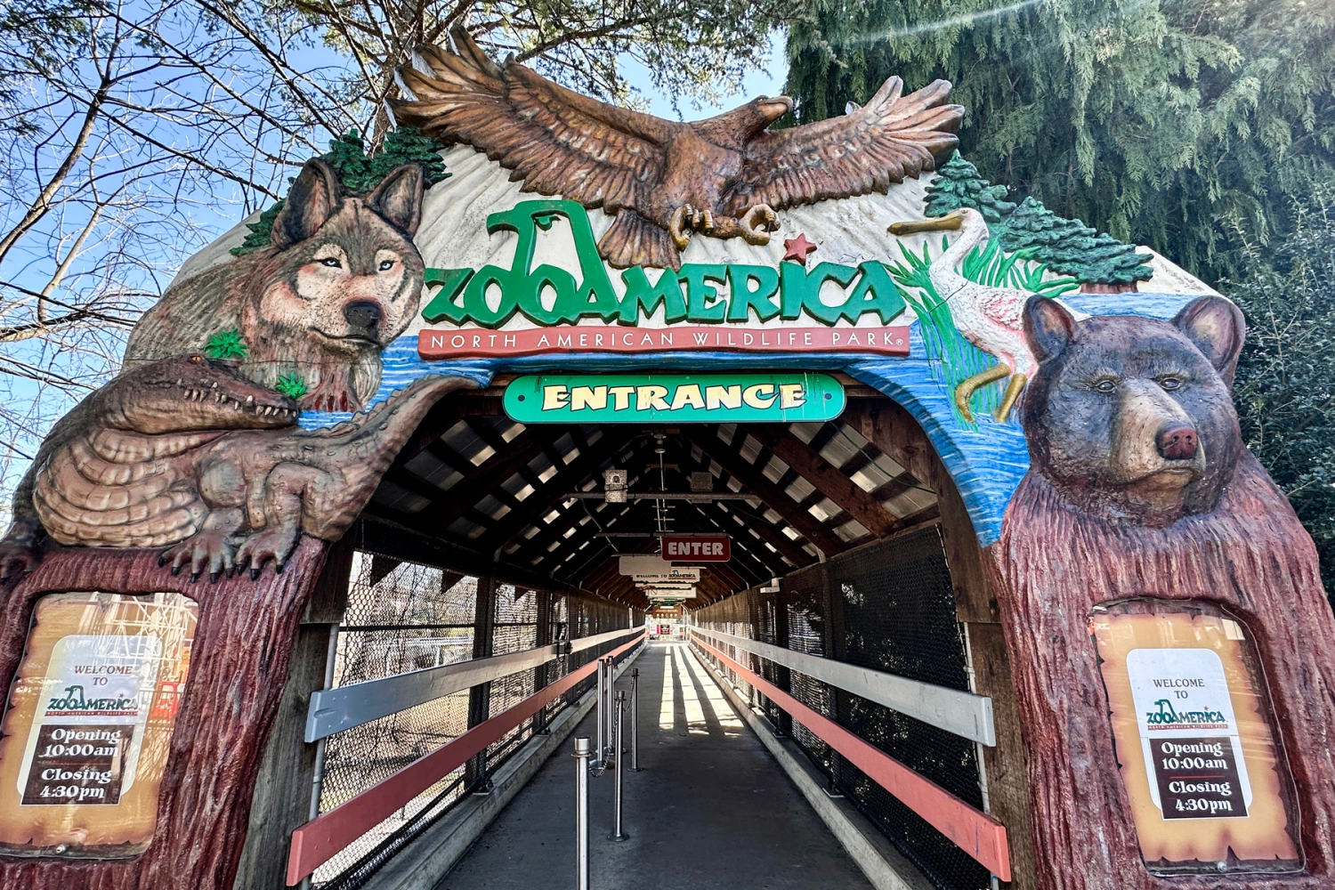 ZooAmerica Wolf Incident: Critical Animal Safety Lessons for Pet Owners