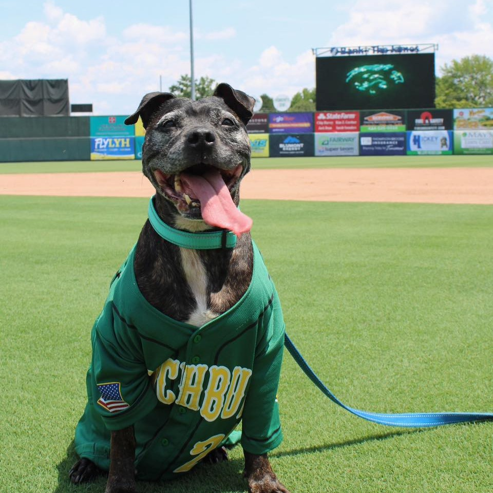 1778681429788_image 15