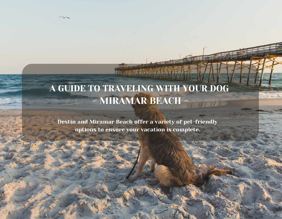 Traveling to Destin with Dogs: The Ultimate Pet-Friendly Guide for 2025