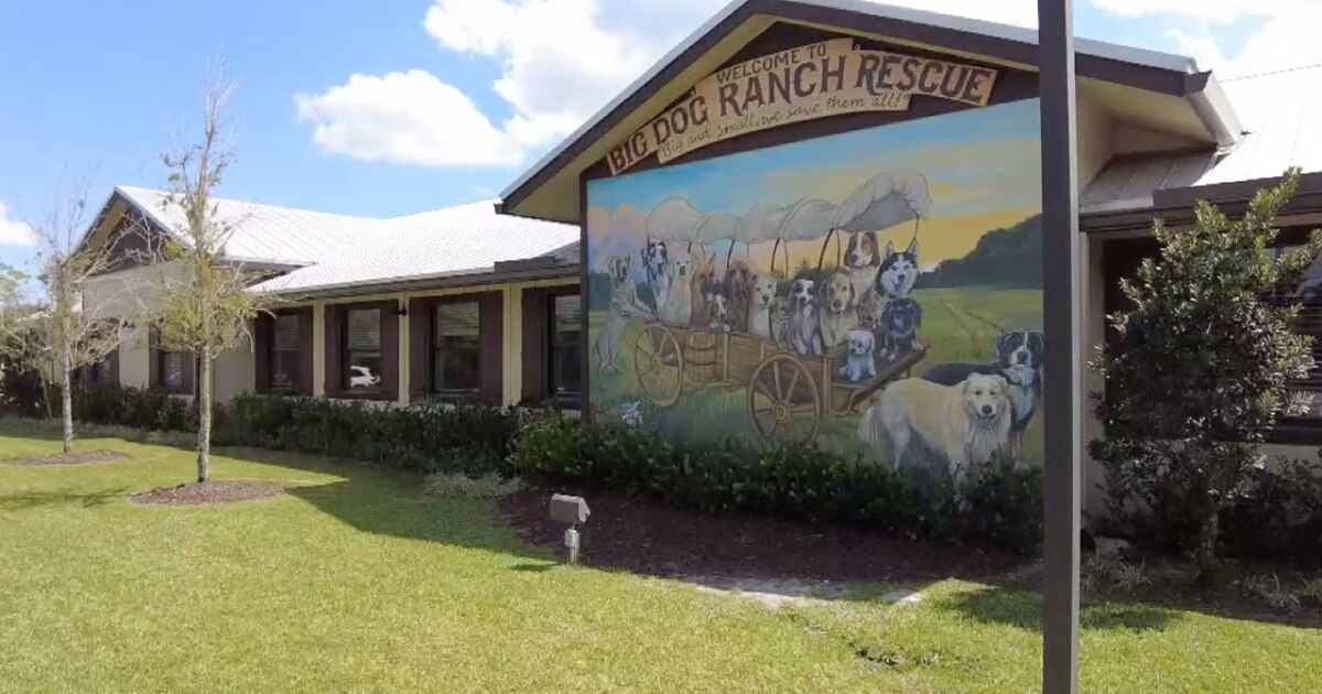 Big Dog Ranch Rescue: How America's Largest No-Kill Shelter Is Saving Thousands of Dogs