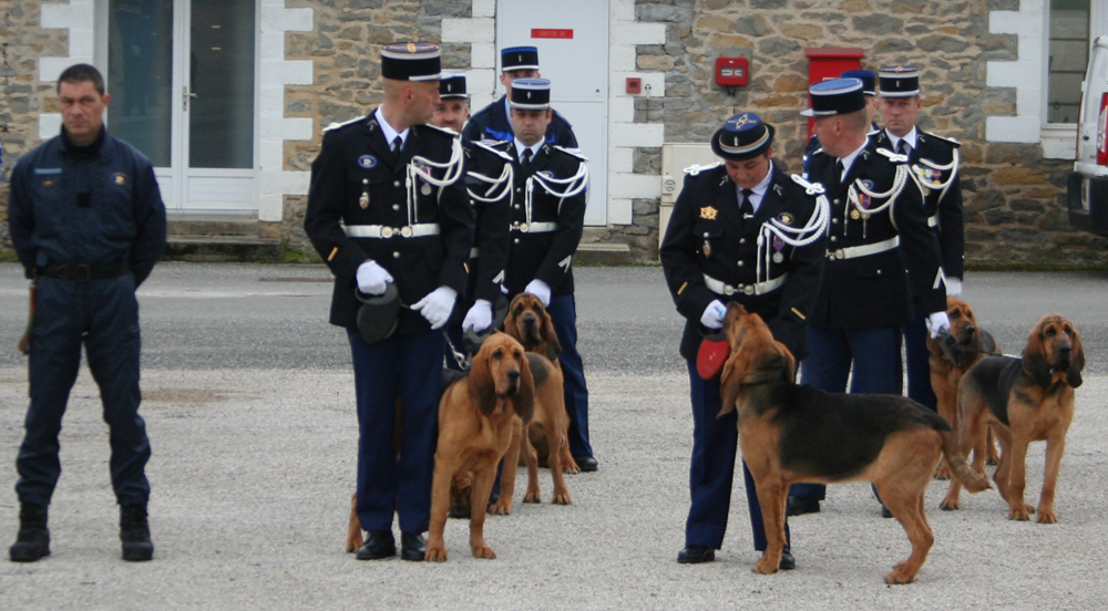 1789395725002_Le_Saint_Hubert_et_la_Gendarmerie